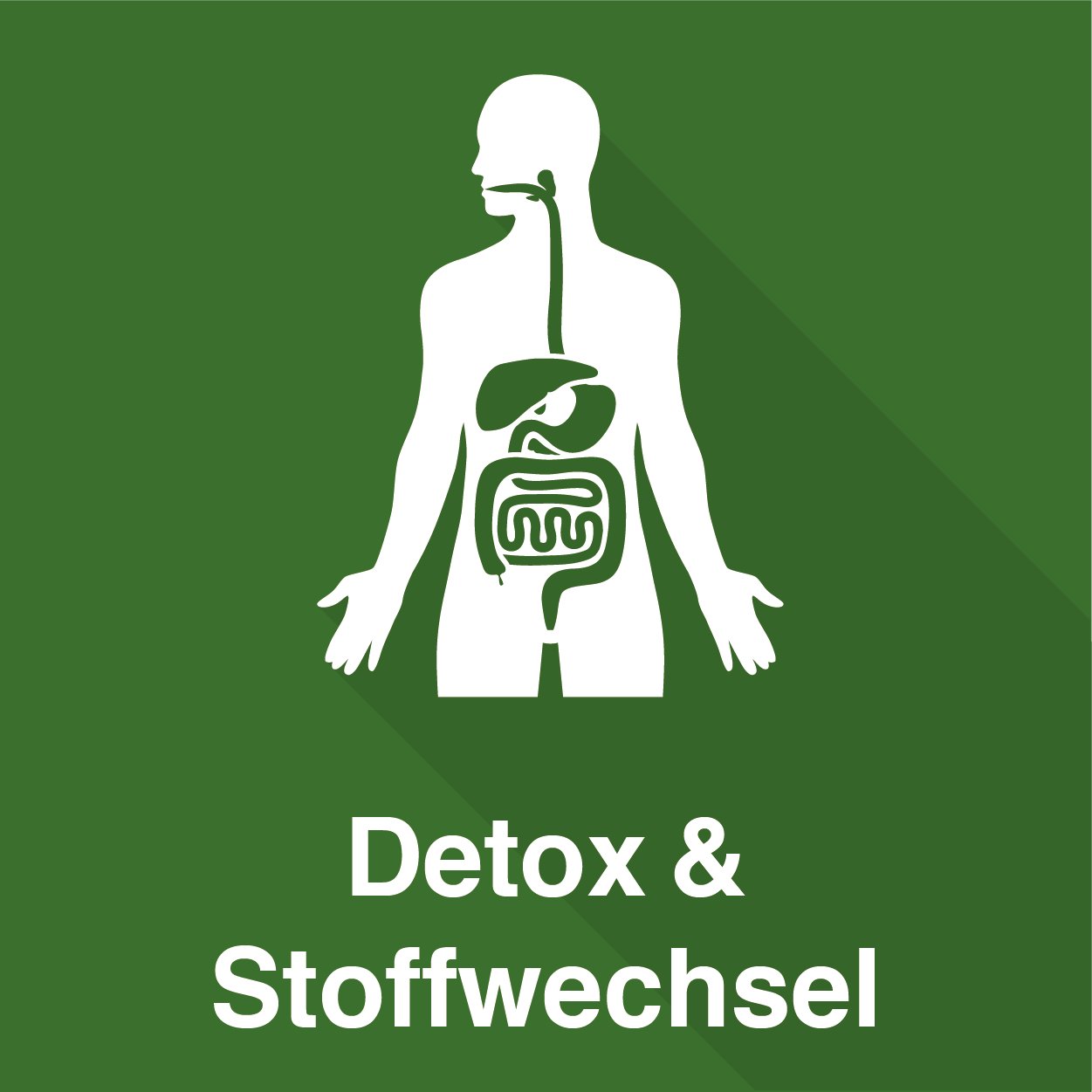 Detox & Stoffwechsel - Vitaminhoch3