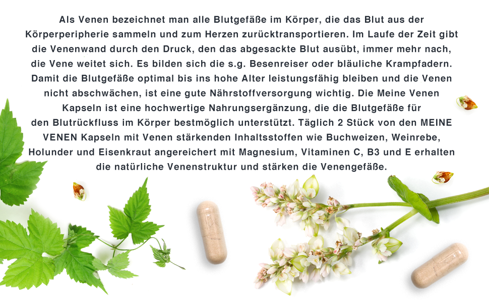 VH3 MEINE Venen mit Buchweizenkraut, marines Magnesium und Holunderbeeren Extrakt