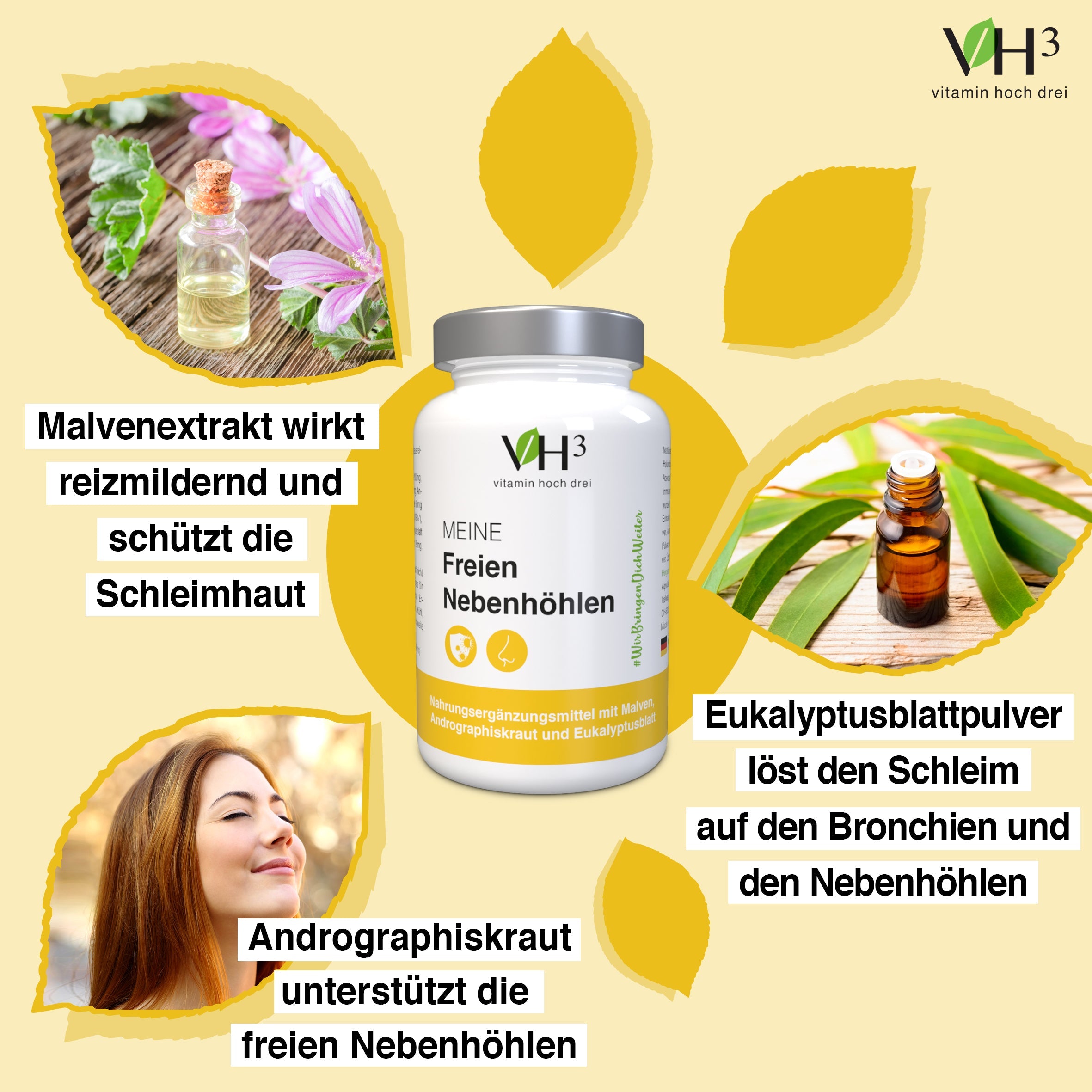 VH3 MEINE freien Nebenhöhlen