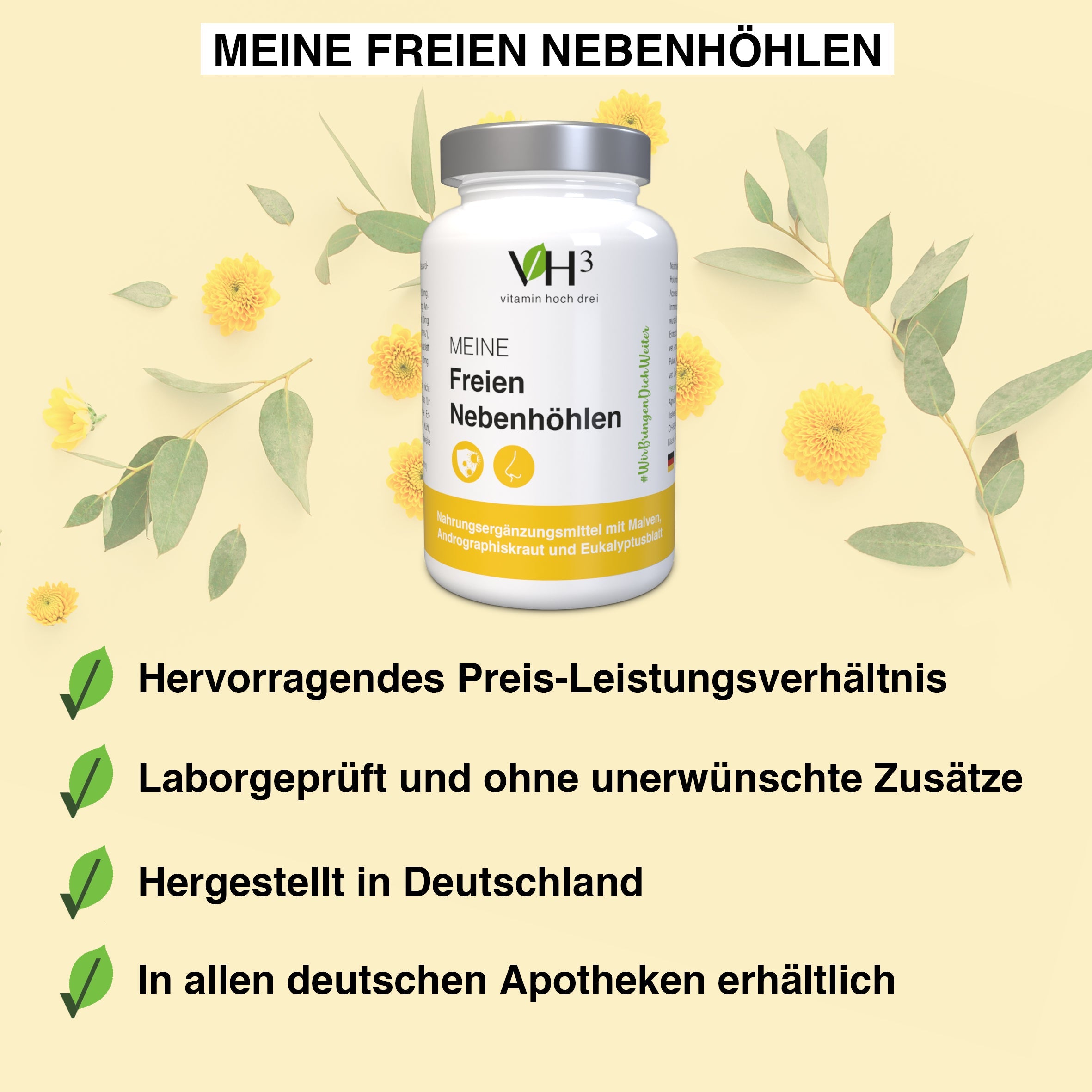 VH3 MEINE freien Nebenhöhlen