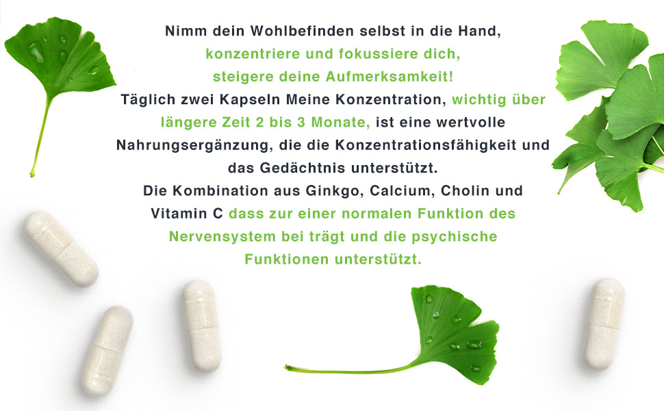 VH3 Meine Konzentration mit Cholin, Gingko Biloba und Calcium