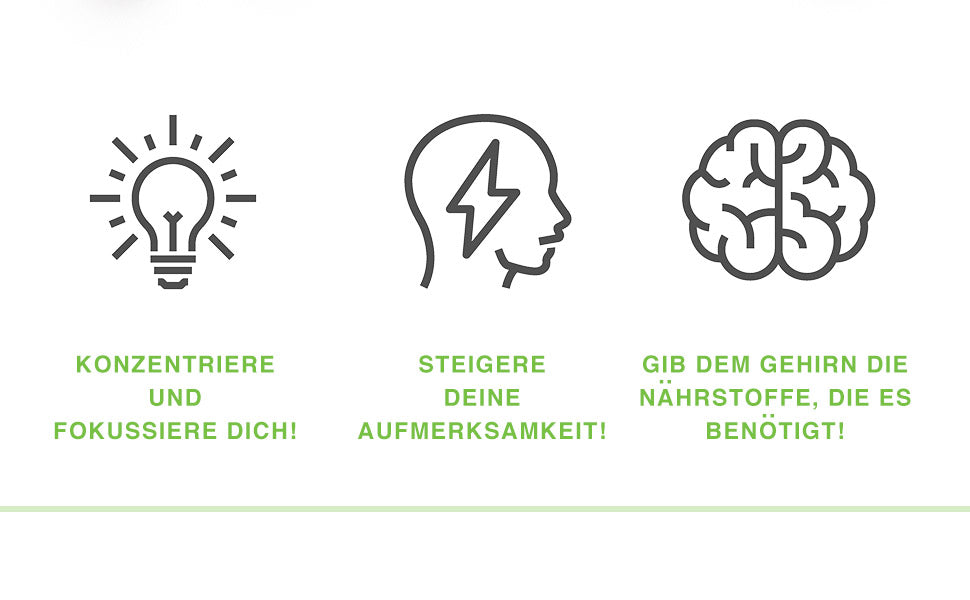 VH3 Meine Konzentration mit Cholin, Gingko Biloba und Calcium