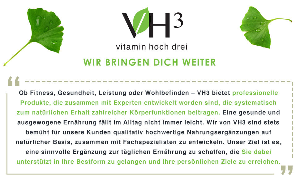VH3 Meine Konzentration mit Cholin, Gingko Biloba und Calcium