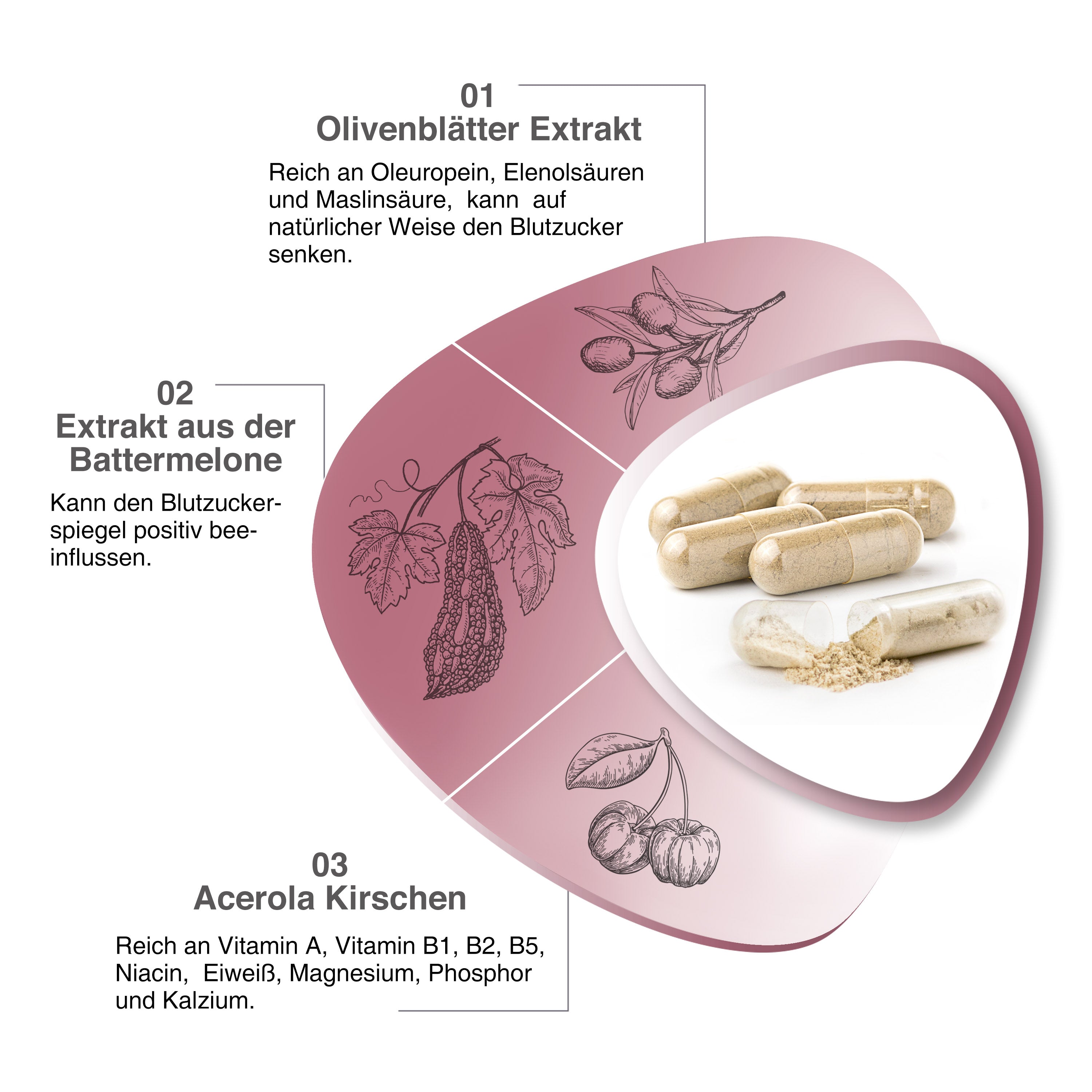 VH3 MEIN Blutzucker mit Beta Glucan, Oleuropein Biotin und Vitamin C