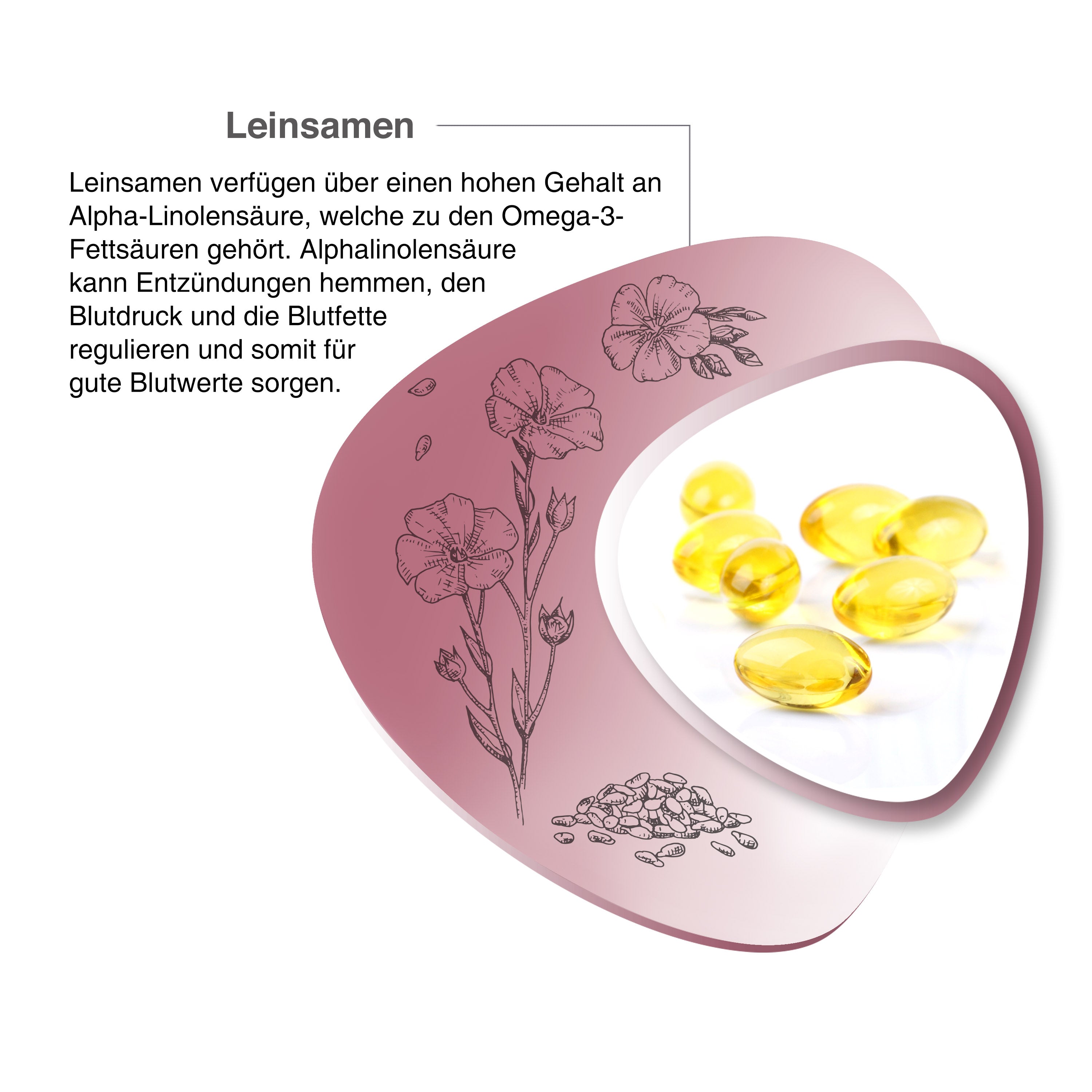 MEIN Cholesterin Spiegel mit Beta Glucan, Oleuropein, Acerola Extrakt und Amaranthmehl
