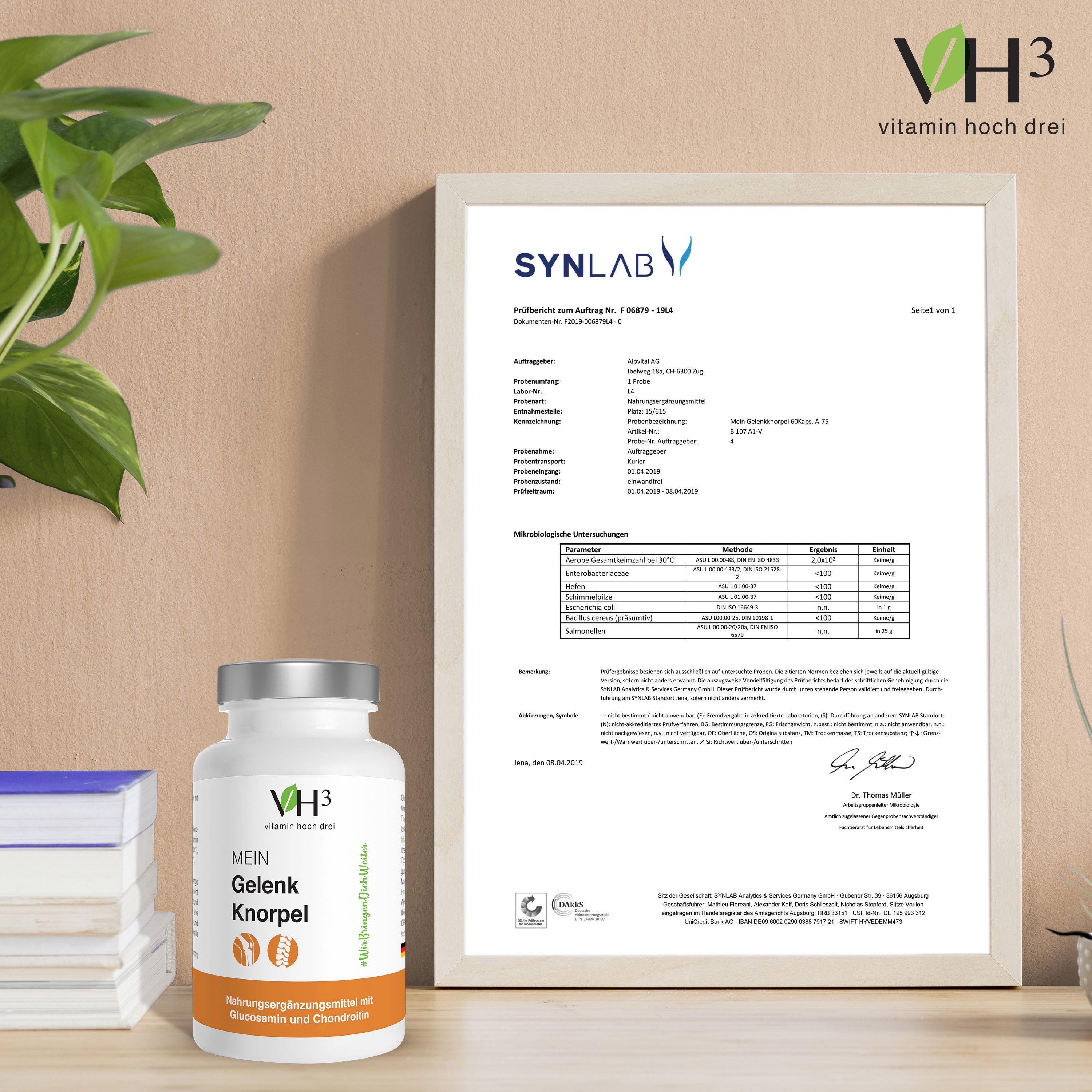 VH3 MEIN Gelenk Knorpel mit Glucosamin, Chondroitin und Zink