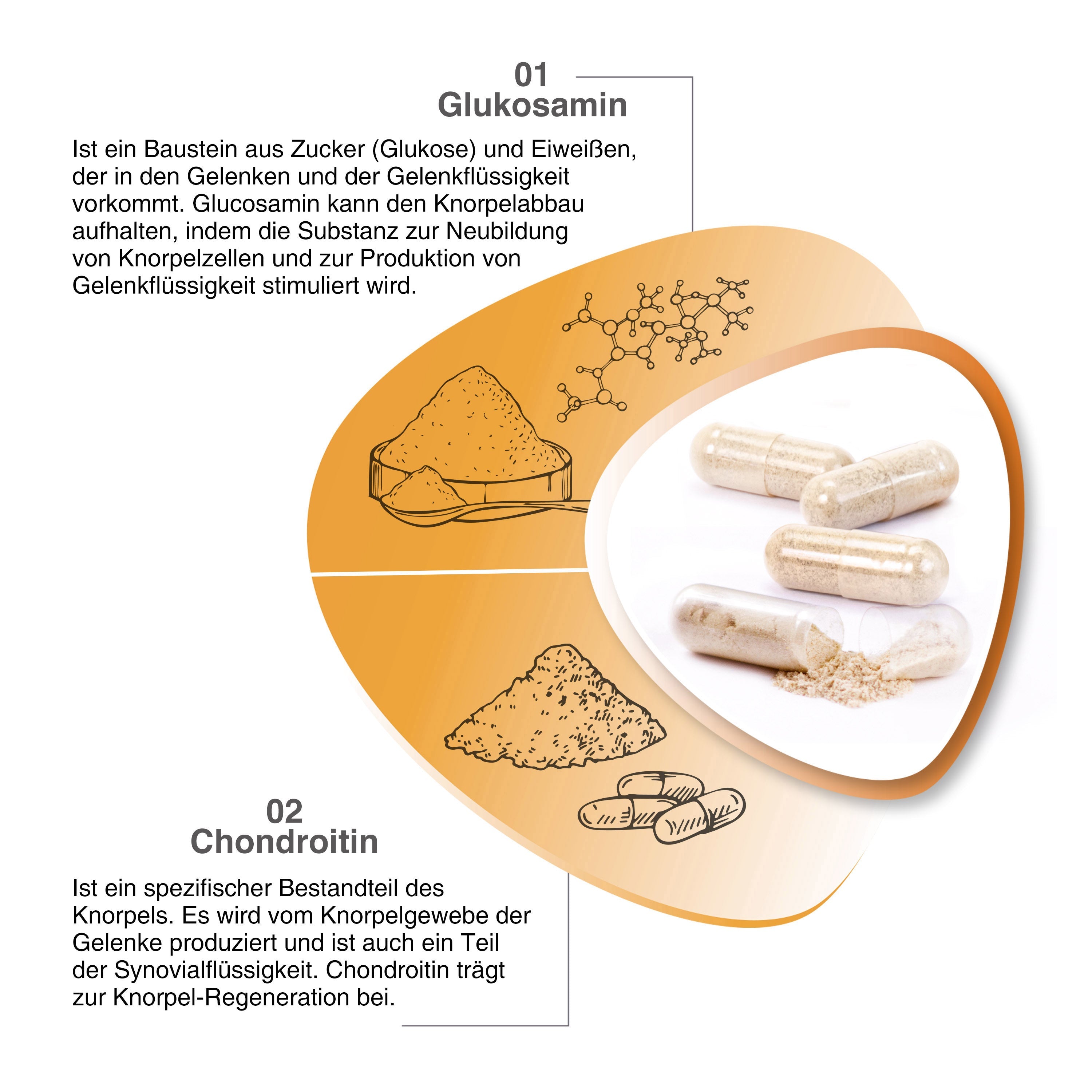 VH3 MEIN Gelenk Knorpel mit Glucosamin, Chondroitin und Zink