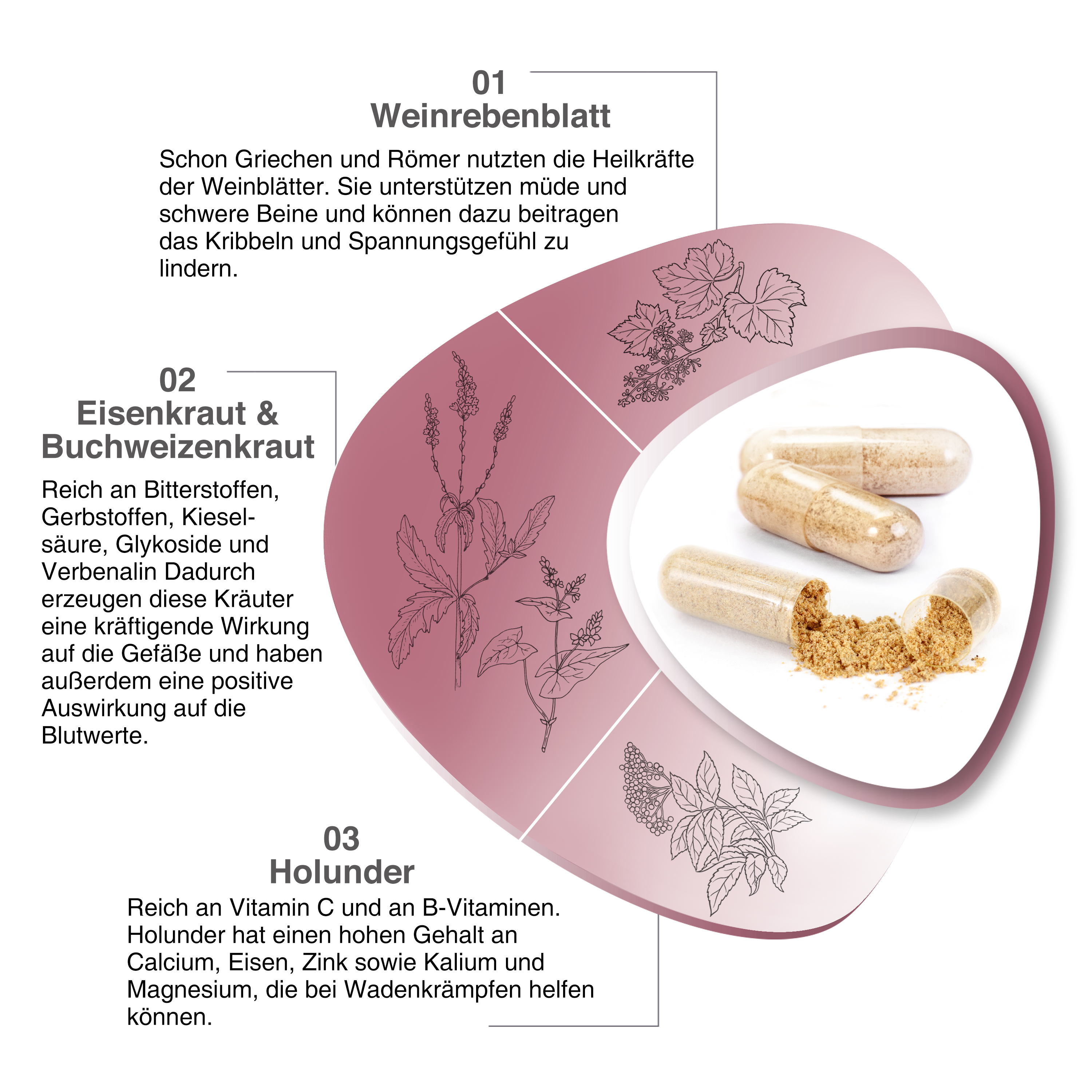 VH3 MEINE Venen mit Buchweizenkraut, marines Magnesium und Holunderbeeren Extrakt