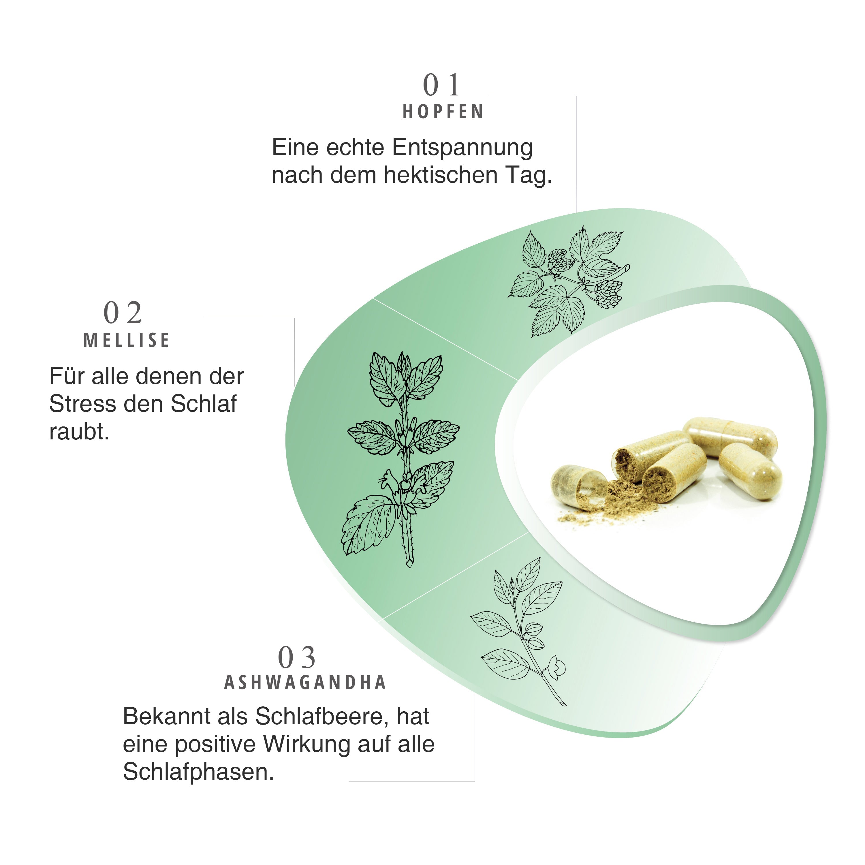 VH3 MEIN Erholsamer Schlaf mit Melisse, Aschwagandha und L-Tryptophan