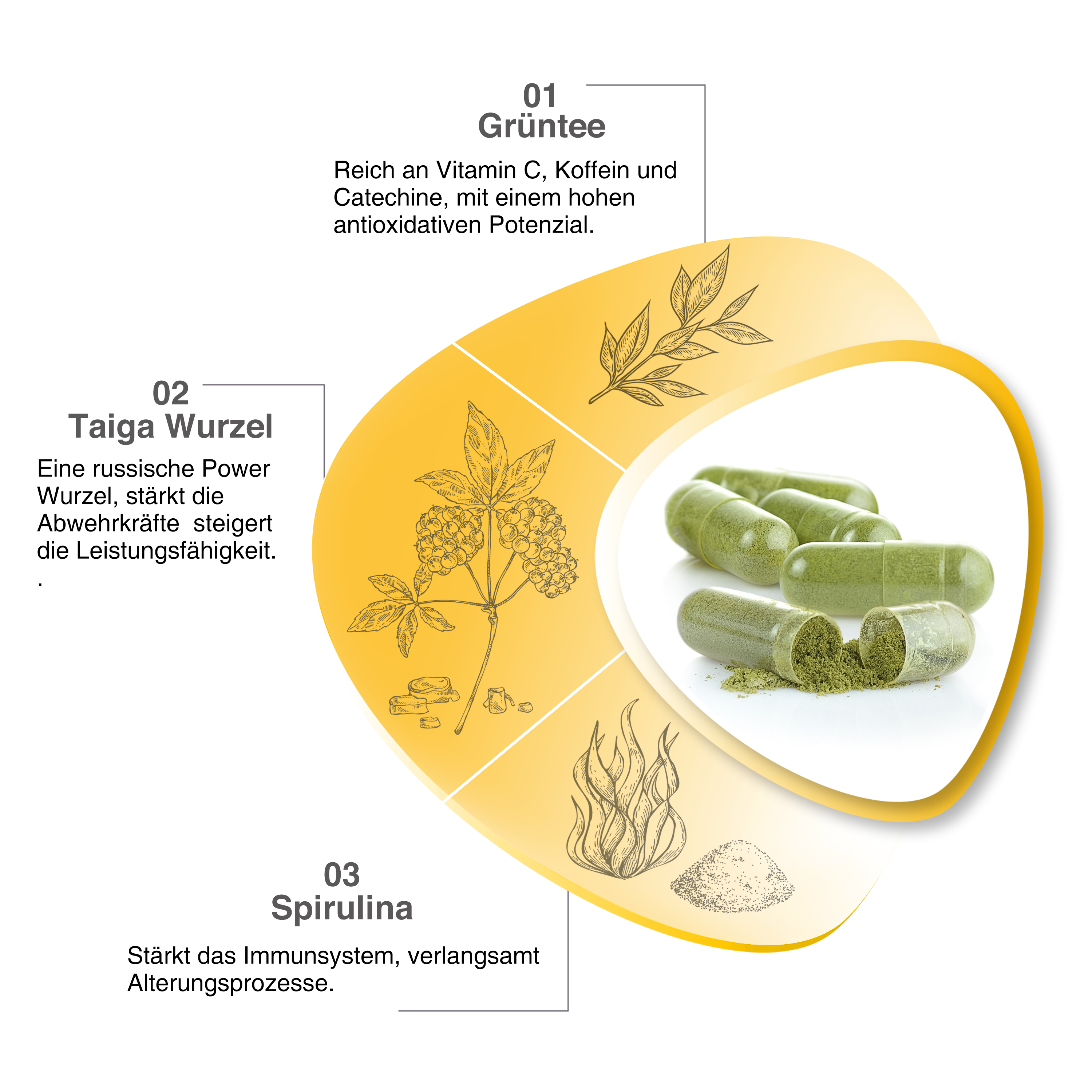 Mein starkes Immunsystem mit Grüntee Pulver, Spirulina und Griffonia Extrakt