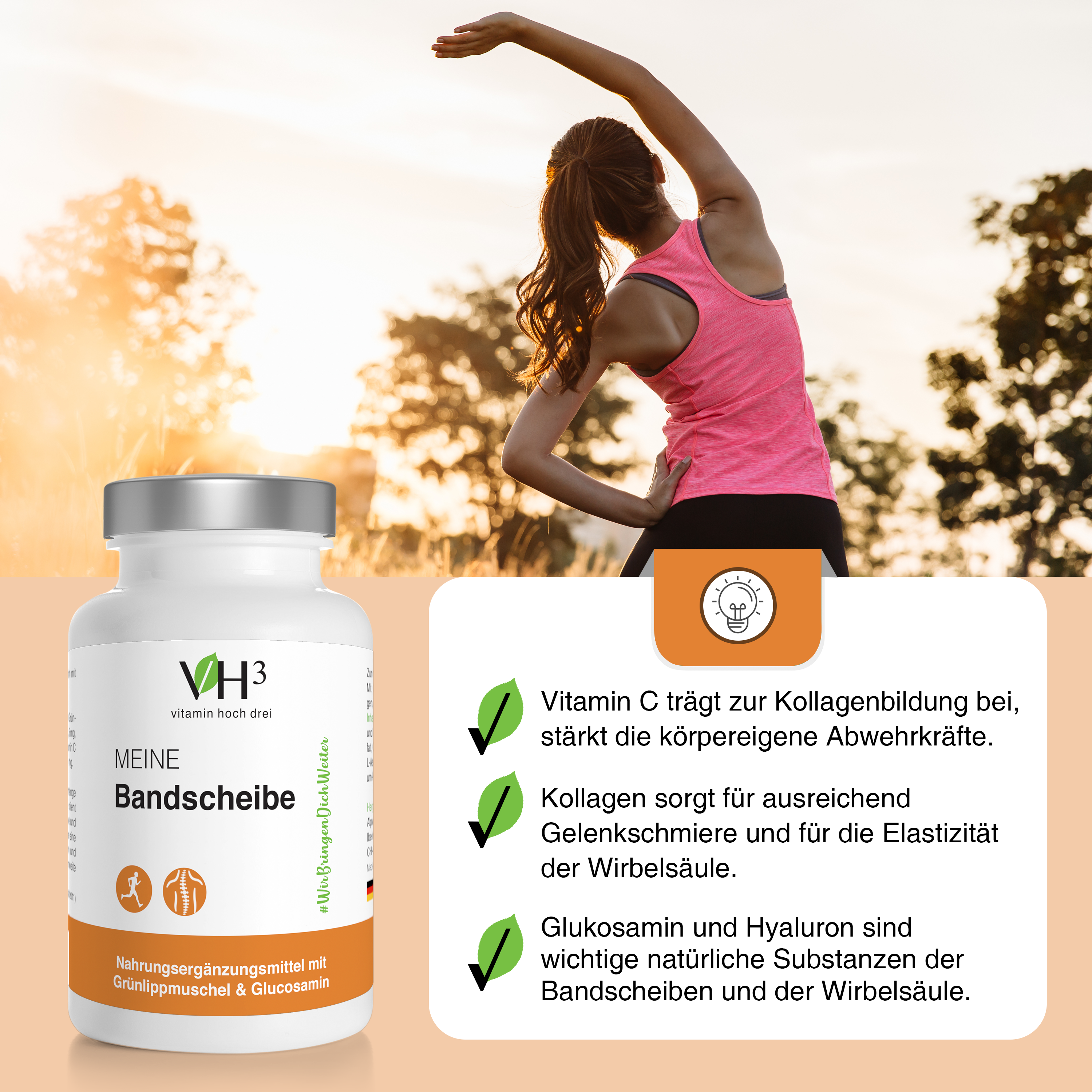 VH3 Meine Bandscheibe mit Grünlippmuschel, Glucosamin & Collagen Typ-2