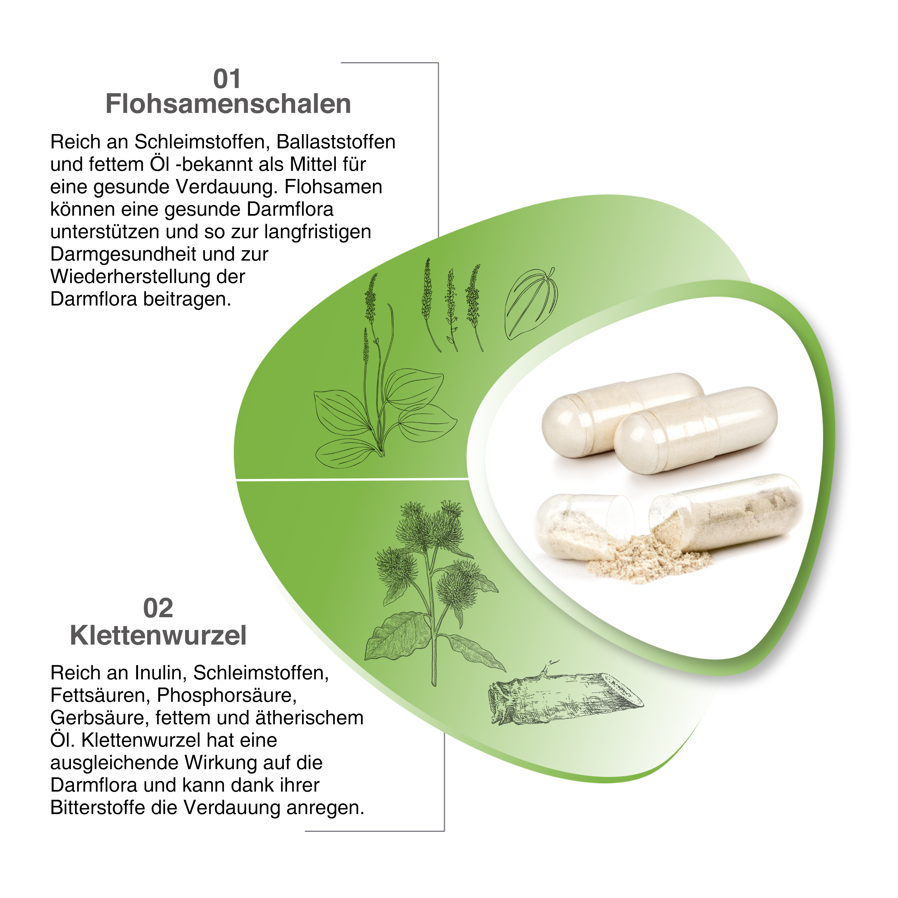 MEINE Darmflora mit Flohsamenschalenpulver, Klettenwurzelpulver, Mikrokristalline Celulose und Zinkgluconat