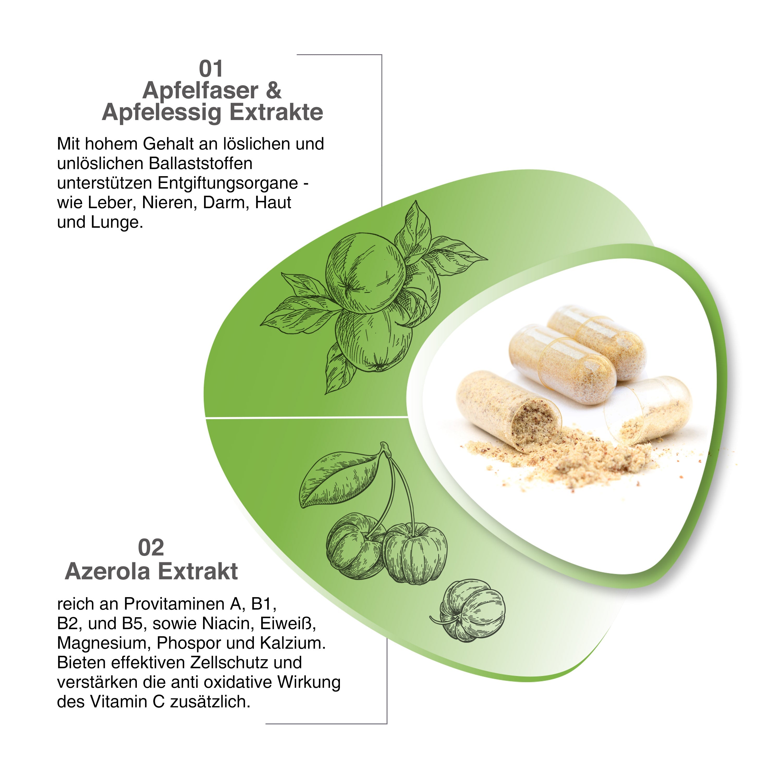 VH3 MEINE Detox Kur mit Apfelessig, Acerola und Apfelfaser