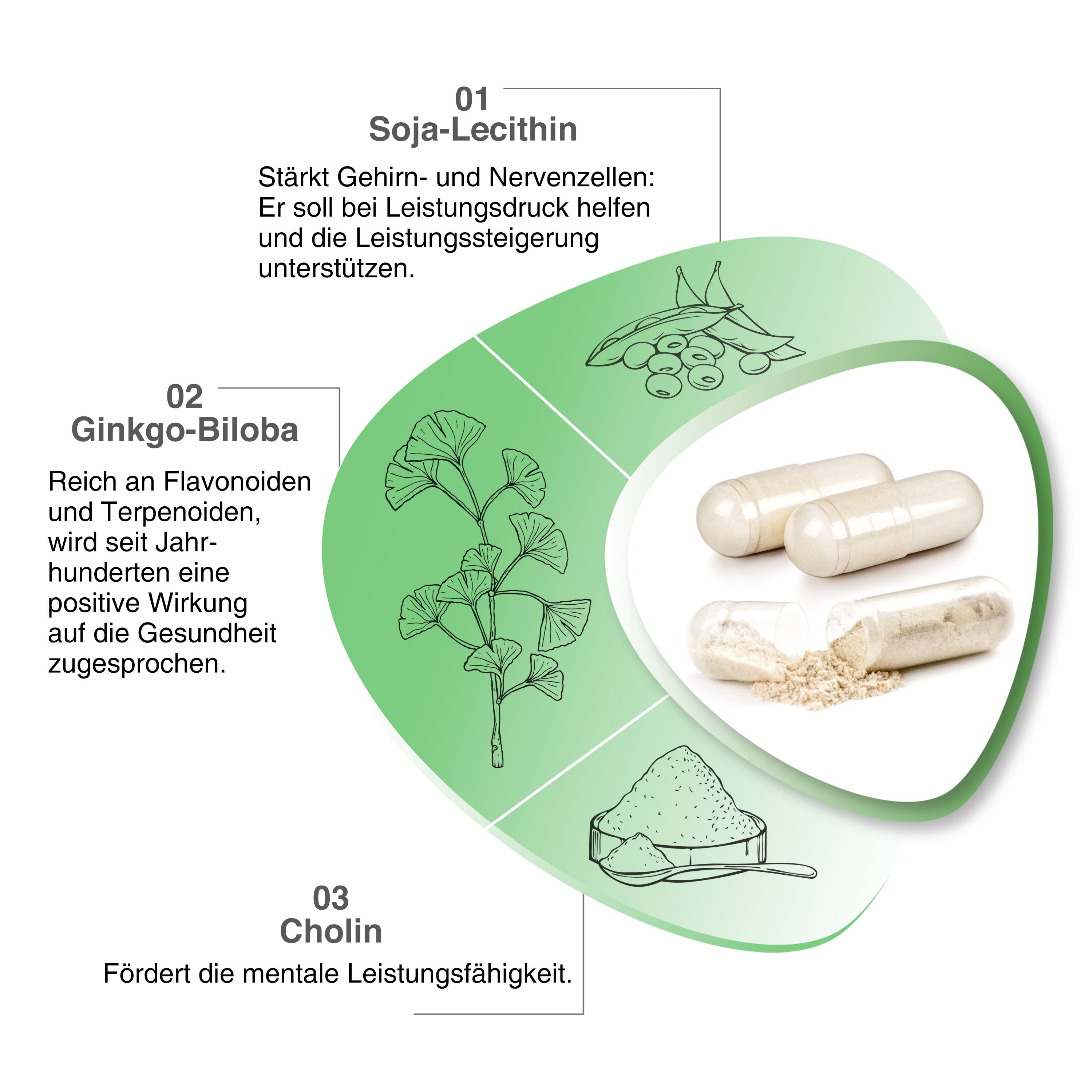VH3 Meine Konzentration mit Cholin, Gingko Biloba und Calcium