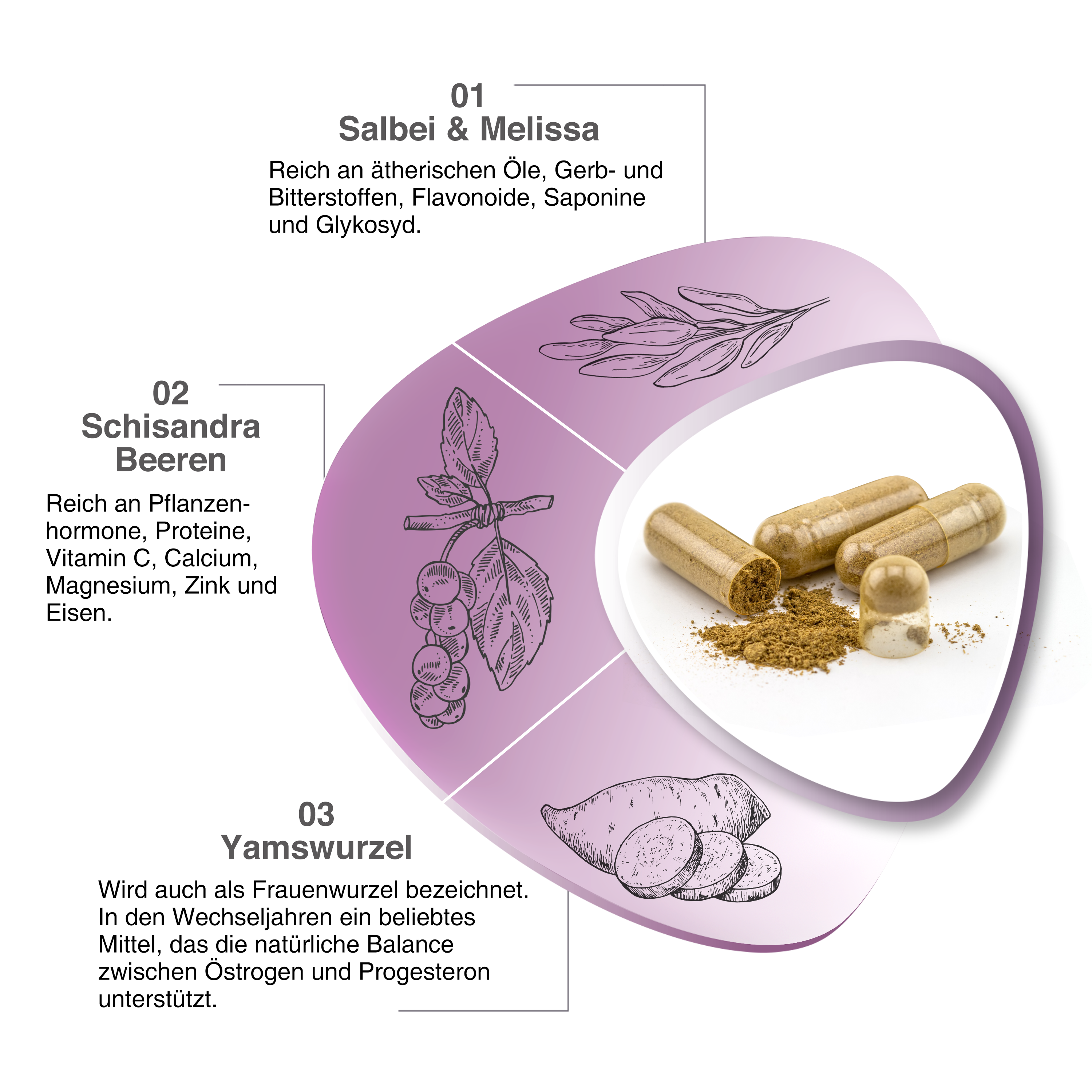 Meine Wechseljahre mit Wild Yamswurzel, Schisandrabeere und Rotklee