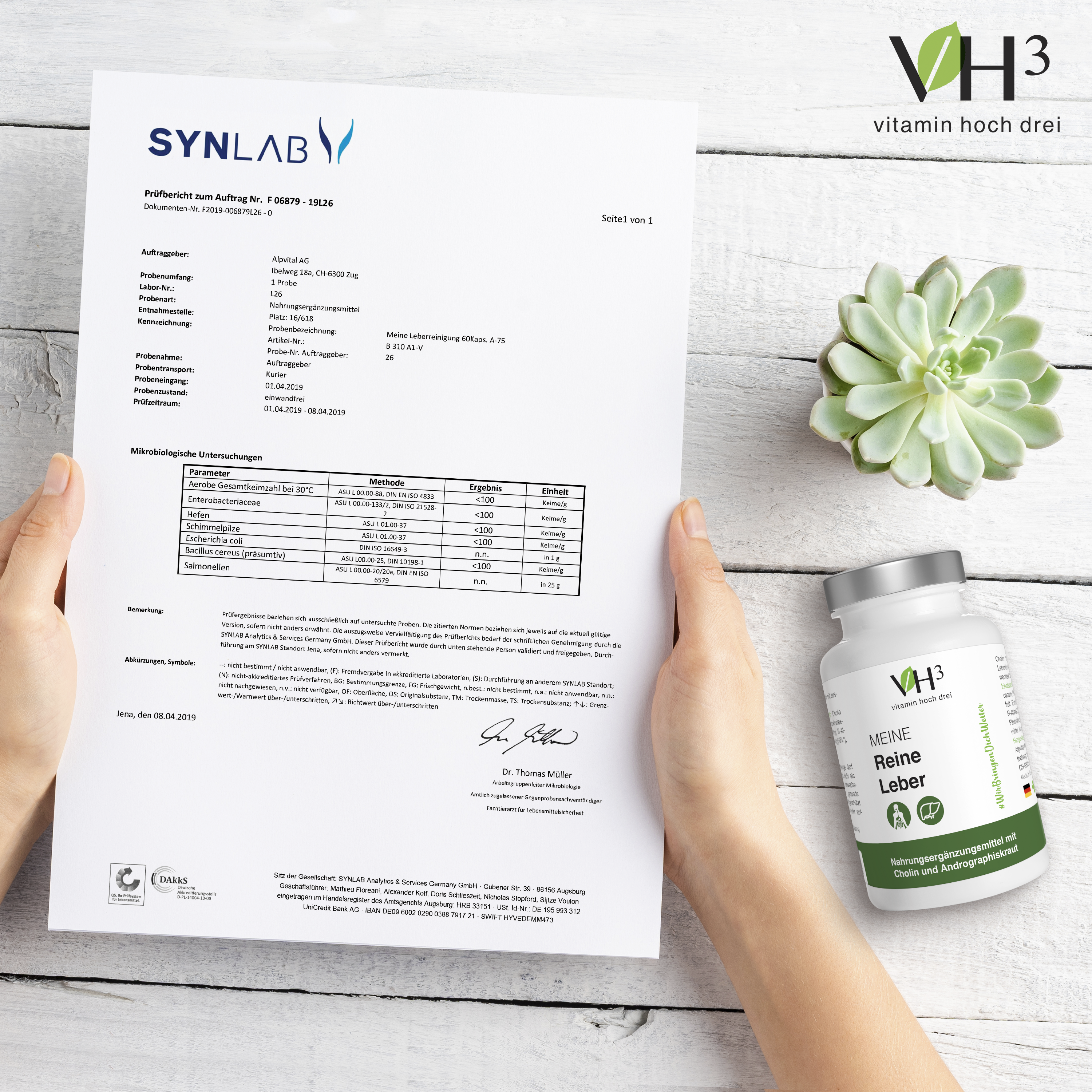 MEINE Reine Leber Cholin, Phosphatidylcholin (Sojaerzeugnis), Grapefruit Extrakt, Andrographiskraut Extrakt, Coenzym Q10 und Folsäure