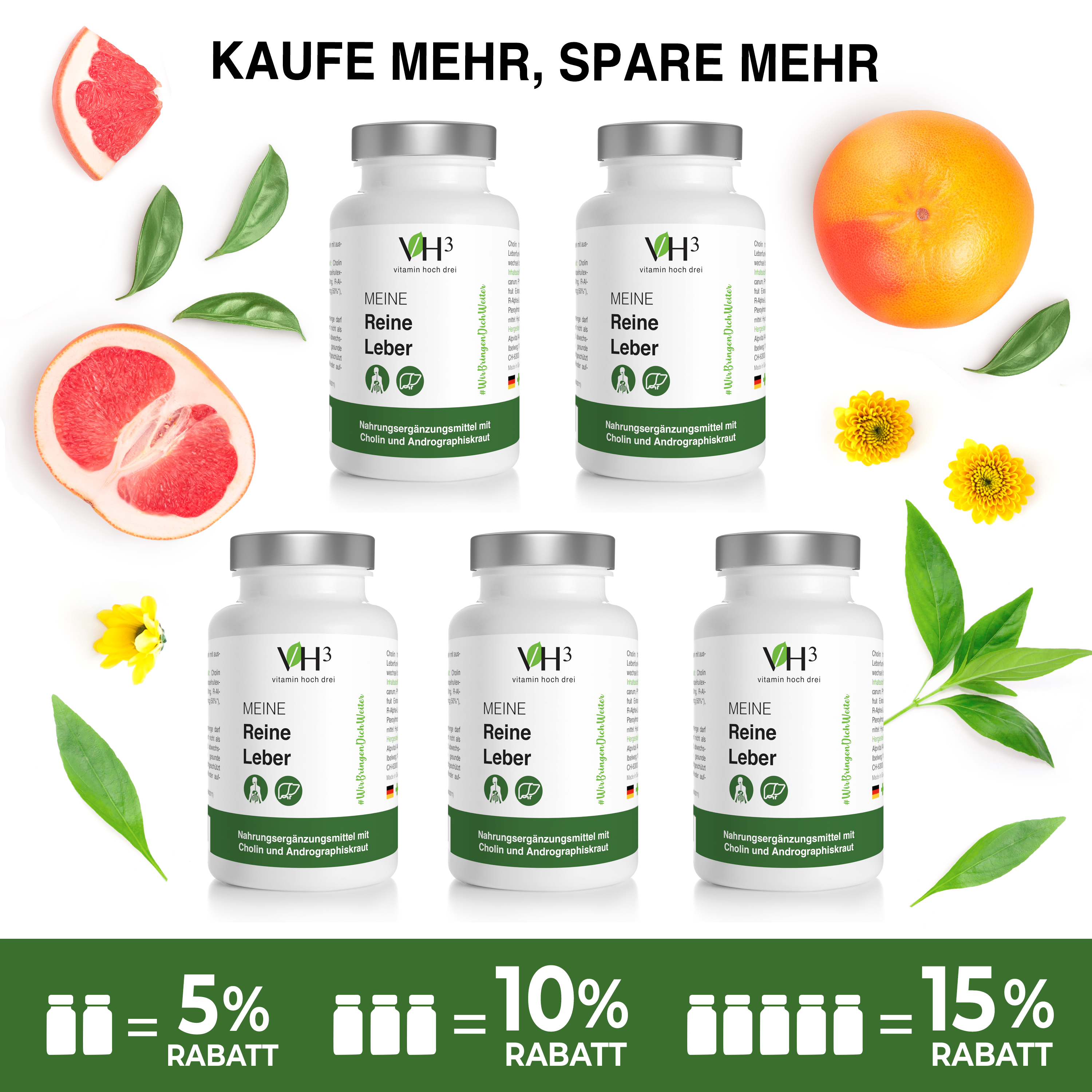 MEINE Reine Leber Cholin, Phosphatidylcholin (Sojaerzeugnis), Grapefruit Extrakt, Andrographiskraut Extrakt, Coenzym Q10 und Folsäure