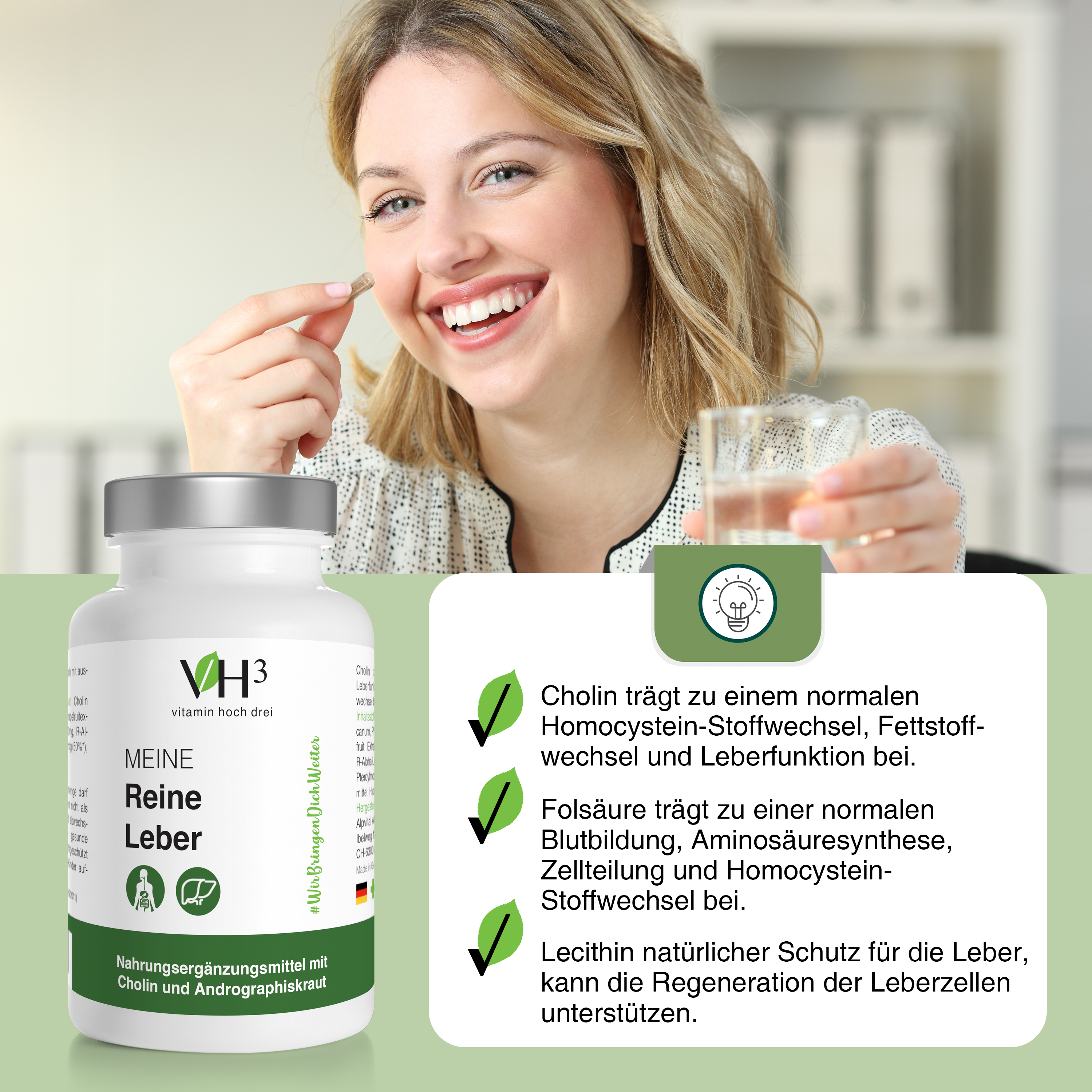 MEINE Reine Leber Cholin, Phosphatidylcholin (Sojaerzeugnis), Grapefruit Extrakt, Andrographiskraut Extrakt, Coenzym Q10 und Folsäure