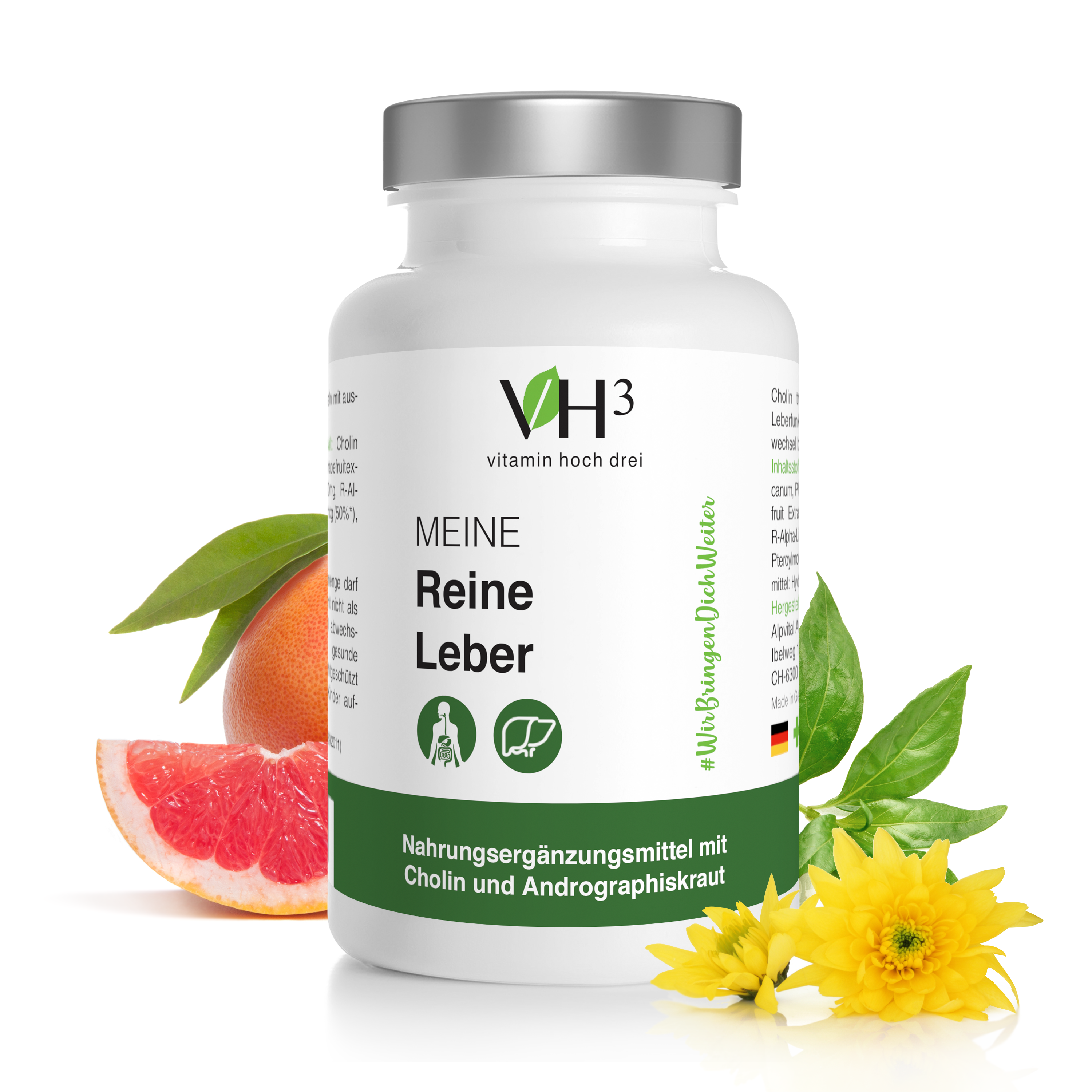 MEINE Reine Leber Cholin, Phosphatidylcholin (Sojaerzeugnis), Grapefruit Extrakt, Andrographiskraut Extrakt, Coenzym Q10 und Folsäure