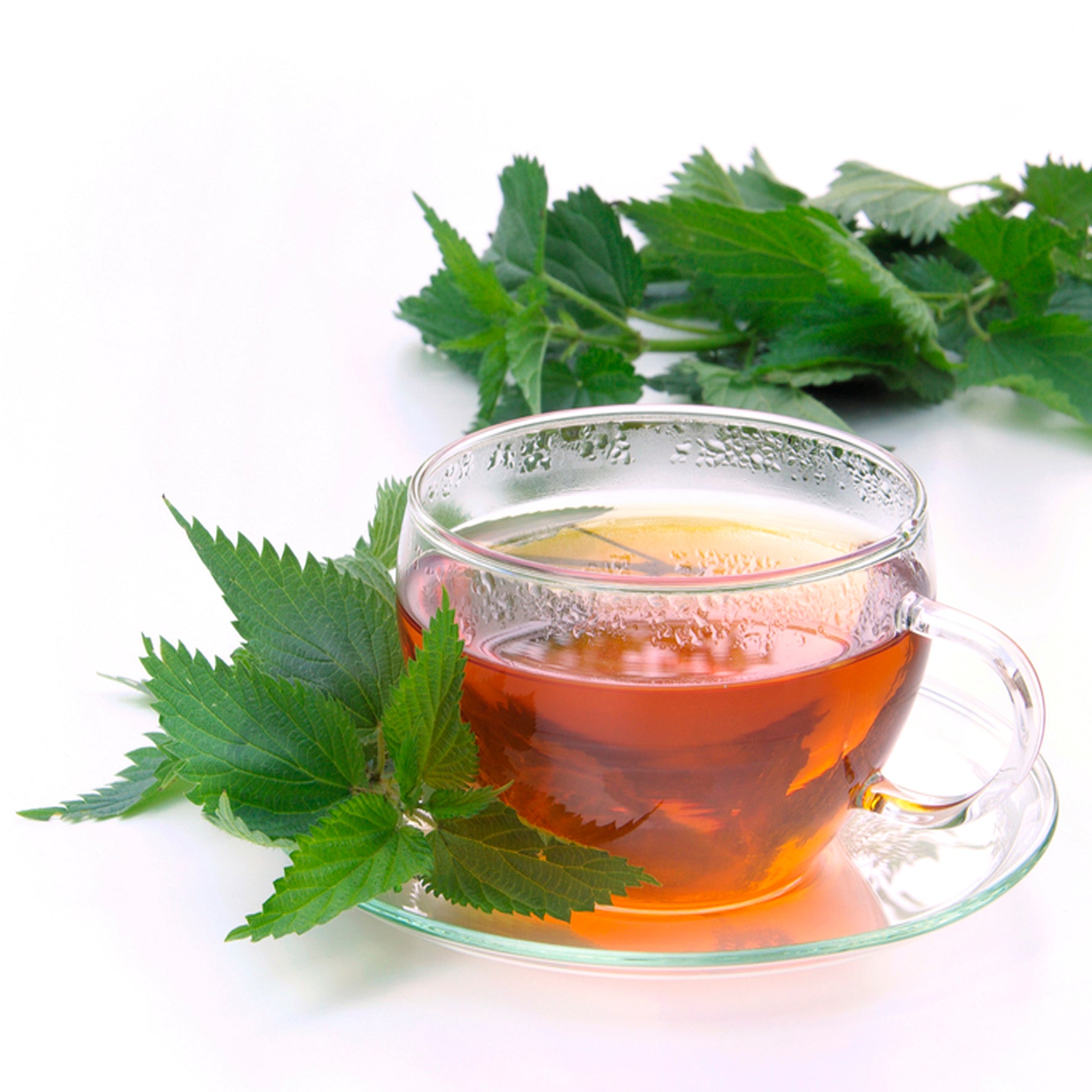 Brennnesselblätter-Tee 100g: Gesundheitsfördernde Wirkung und köstlicher Geschmack