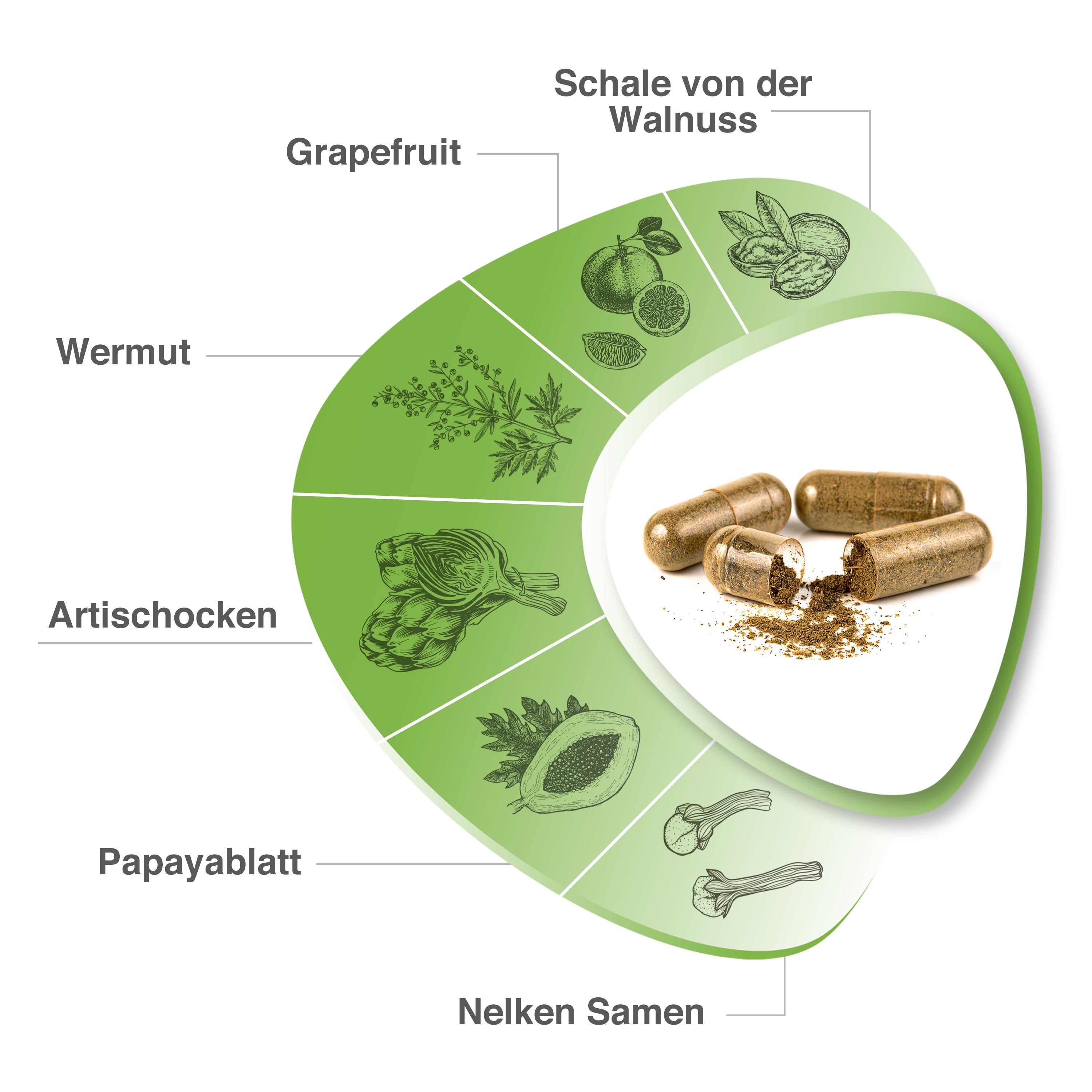VH3 Meine Para-Kur Mit Wermutkraut, Papayablatt & Artischocken
