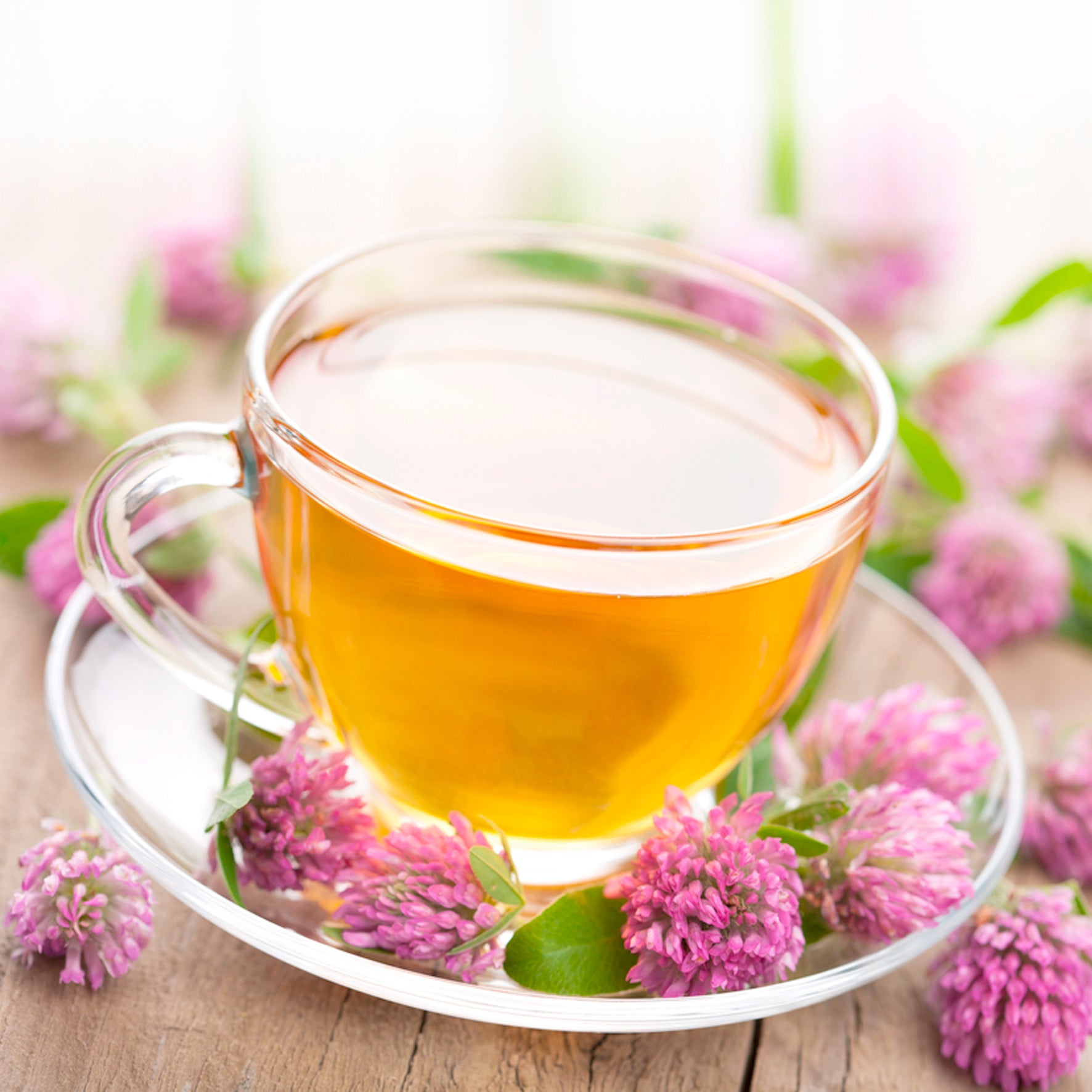 Rotklee Tee für die Menopause